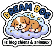Dream Dog