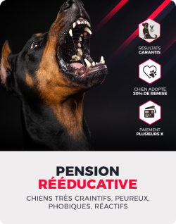 Pension-reeduc-Mobile